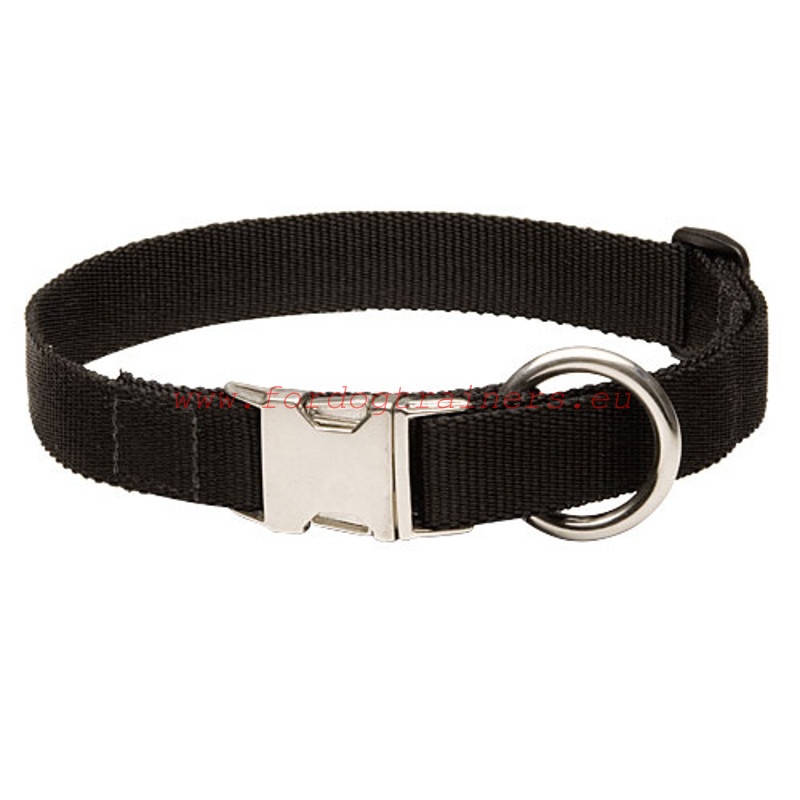 simple dog collar
