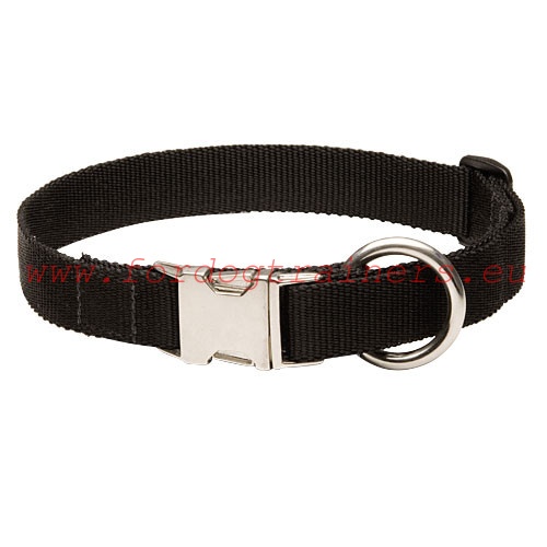 Collier classique en
nylon pour Dobermann