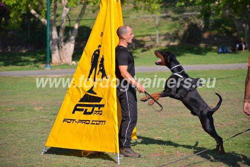 Nylon Tuig voor Doberman