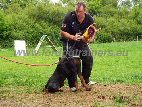 Schutzhund Training Bite          Sleeve