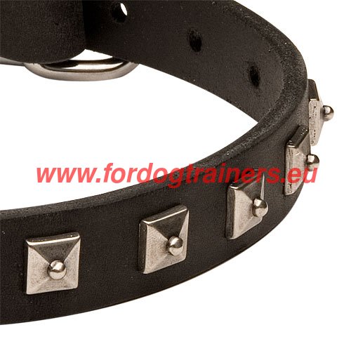 Leather Dog Collar with Studs