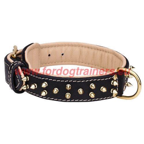 Leather Dog Collar Spiked