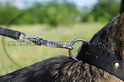 Buckle for leash of the Nylon Dog collar with cut cones