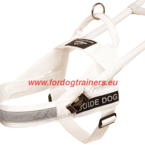 White Assistance Dog Harness
