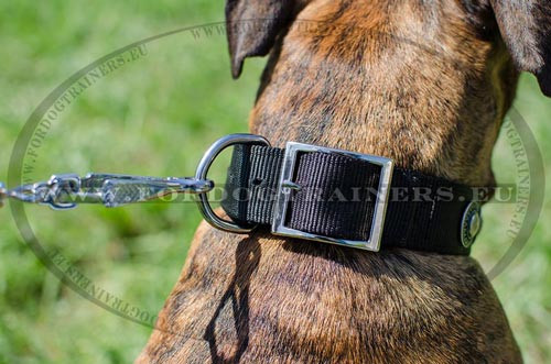 Strong hardware of the Nylon Boxer Collar