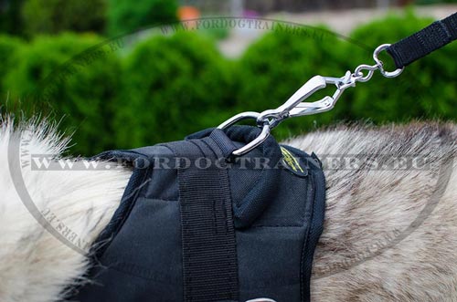 Strong and Tear-Resistant
Nylon Harness for Siberian Husky