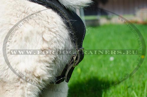 Harness for Husky Adjustable
