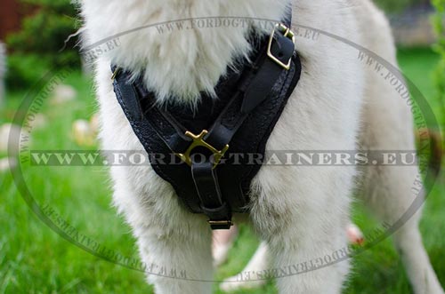 Akita Attack Training Harness