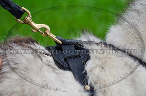 Siberian Husky Leather Harness