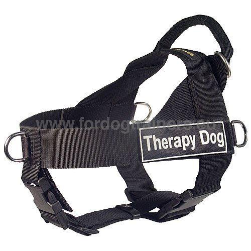 Siberian Husky Practical Nylon Harness