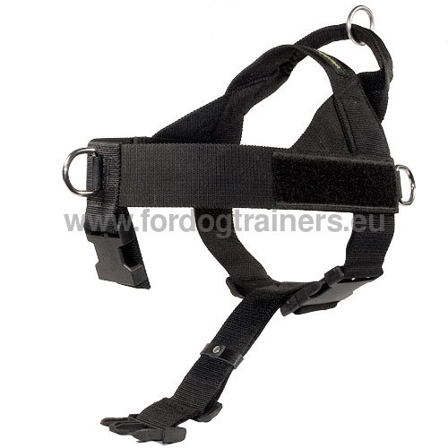 Dog Harness of High Quality for Husky