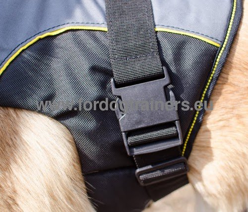 Easily used lightweight vest
harness for Husky