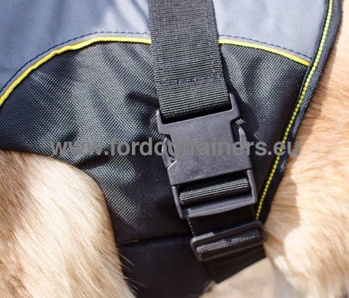 Harnais nylon facile d'utilisation pour Husky