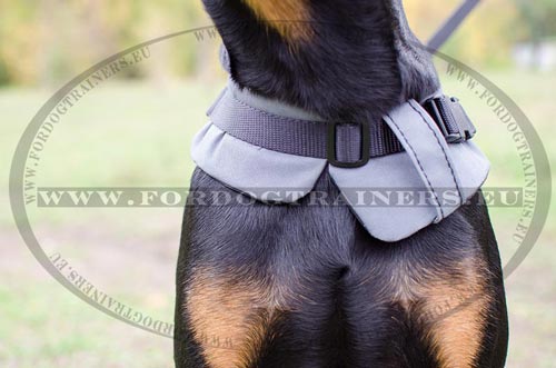 Winter coat harness for Doberman