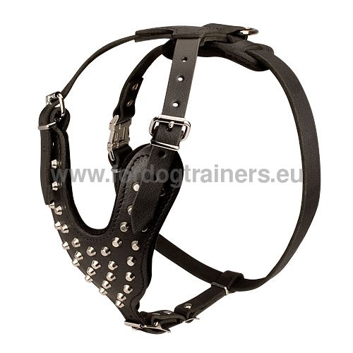 Laika dog harness of resistant genuine leather