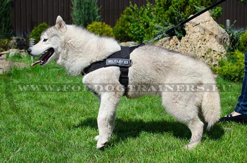 Nylon Dog Harness with Front Lead Attachment for Husky