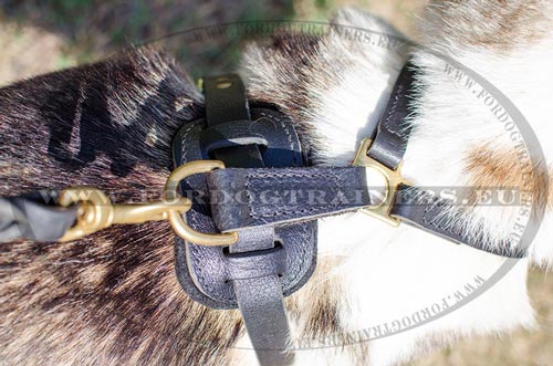 Hunting dog attack leather harness