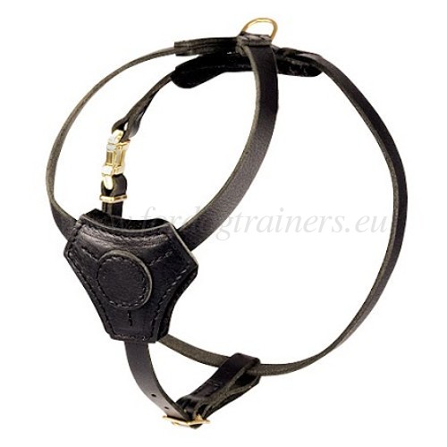 Harness
for Small Dogs