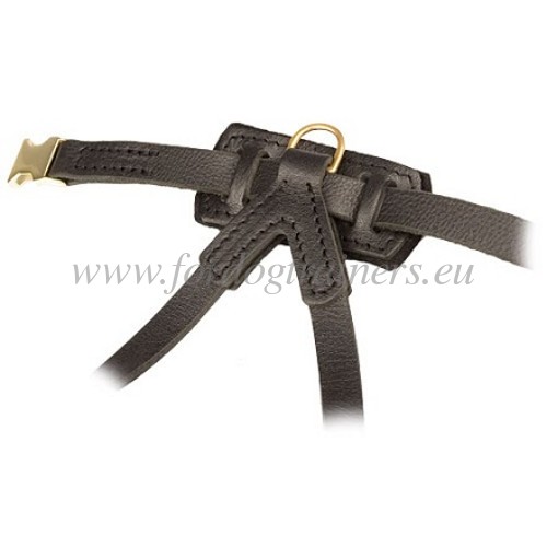 Harness for small dogs in genuine leather hardware
