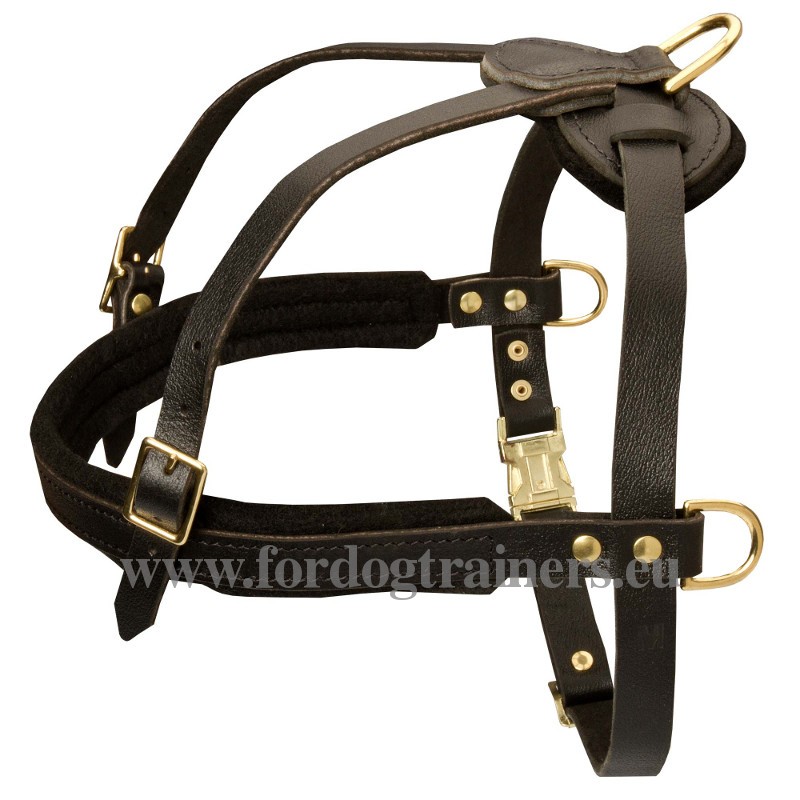 Husky Tracking, Pulling, Walking Leather Dog Harness [H51057