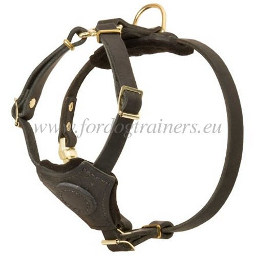 Leather harness for small dogs royal design