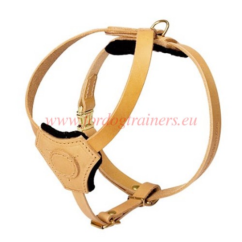 Gorgeous leather dog harness tan