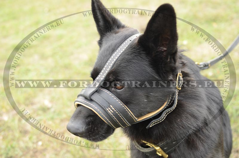 Head Harness Padded for German Shepherd Halti for GSD
