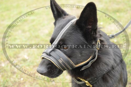 Nappa padded halti for German Shepherd