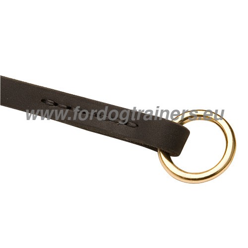 Collier pour Malinois Promenades en scurit