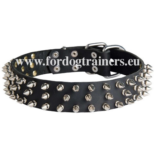 Halsband met Spikes voor Mechelse
Herder