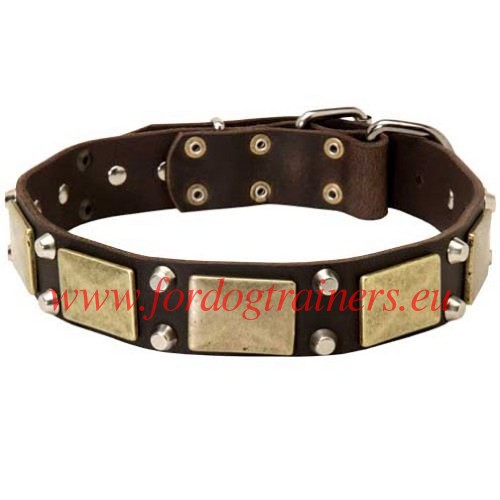 Leather Dog Collar with Brass Plates