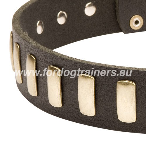 Cane Corso Hundehalsband Leder 4 cm