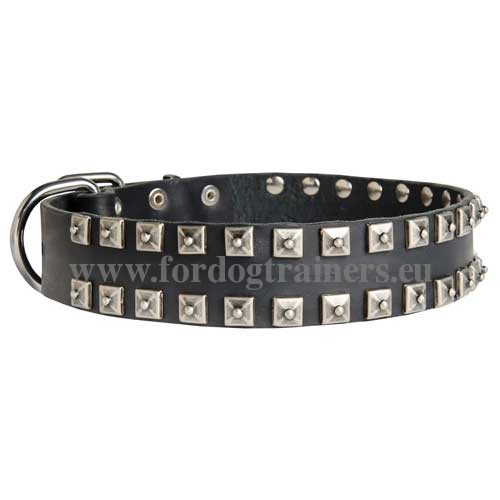 Leather dog collar strong and fashionable for Laika