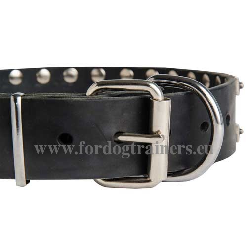 leather Dog Collar
for Laika Stainless Steel Hardware