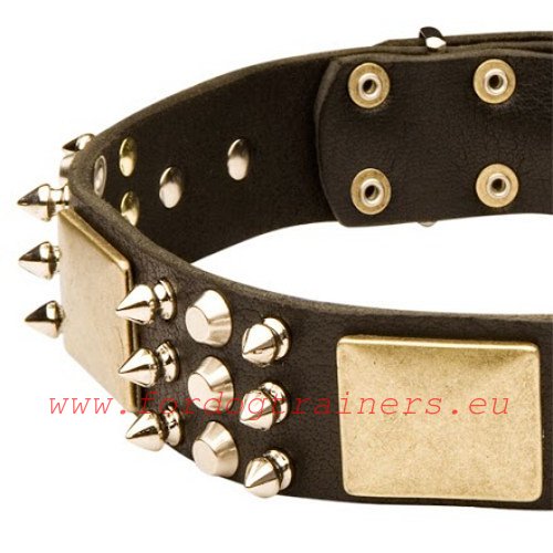 Original extra wide dog collar with
spikes, pyramids and plates