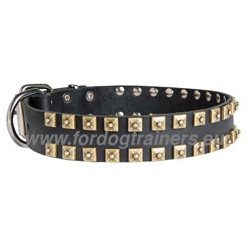 Exclusive Dog Collar for West Siberian Laika