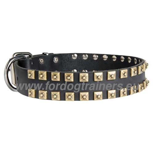 Collier durable et multi fonctions pour Malinois Cuir