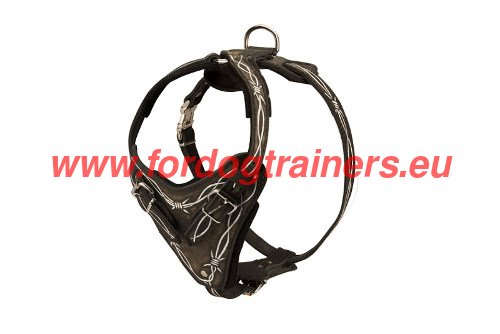 Painted Leather Dog Harness