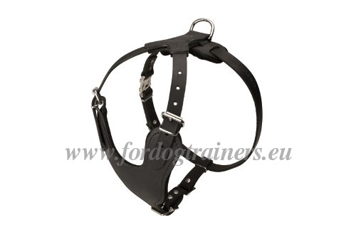 Y-shape leather harness for West Siberian