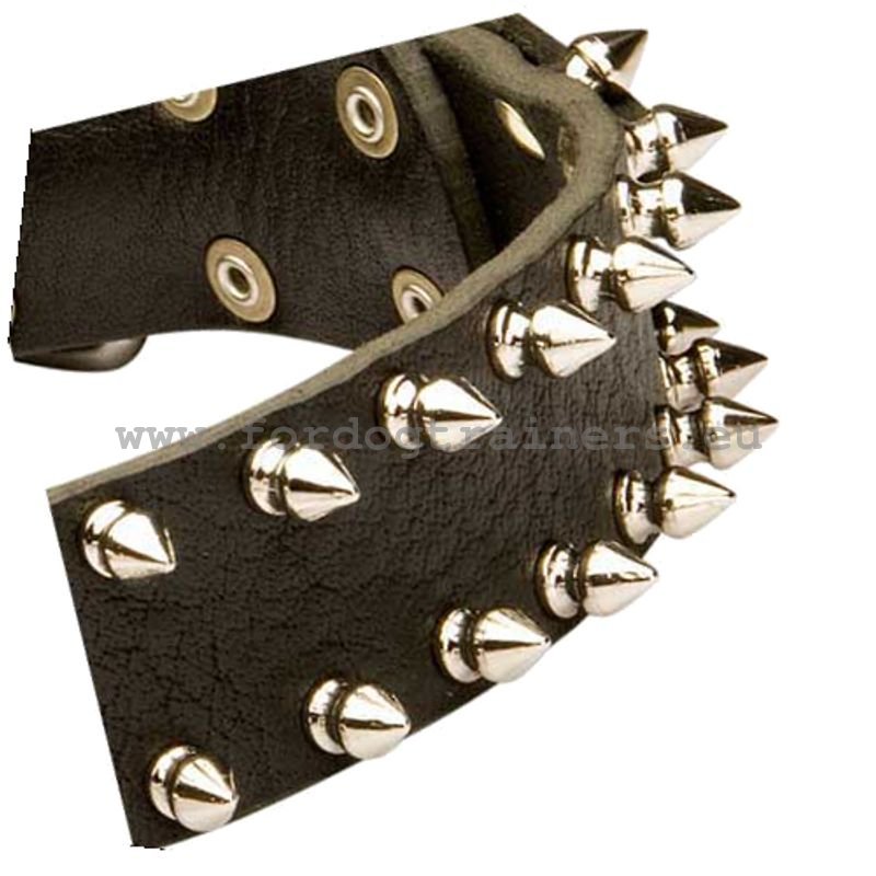 Leder-Hundehalsband Mit Spike & Nieten – Schwarz, 2,5 Cm Breit, 66 Cm Lang, Handgefertigt In Den USA