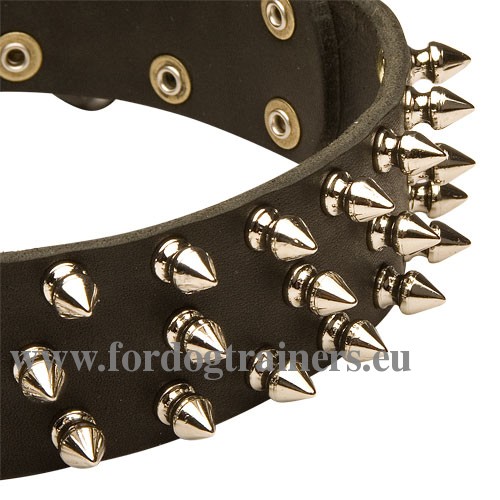 Dog Collar Nickel Steel Spikes