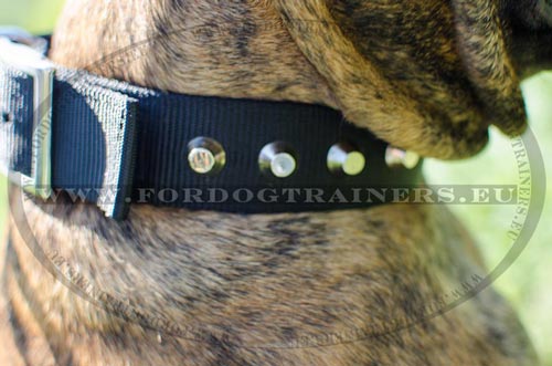 Nickel Pyramids Nylon Boxer Collar