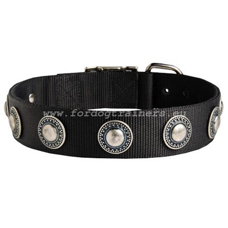 Round nylon sale dog collar