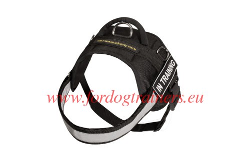 Harnais pour chien Idéal pour conditions
humides