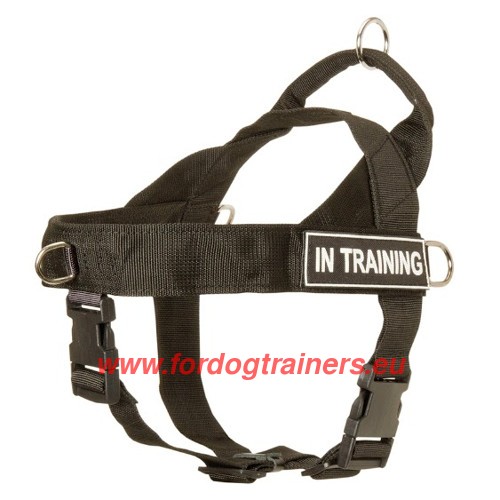 Harness with Patches for Dog Adjustable