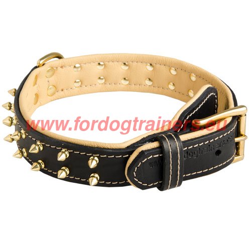 Soft Dog
Collar with Nappa Padding