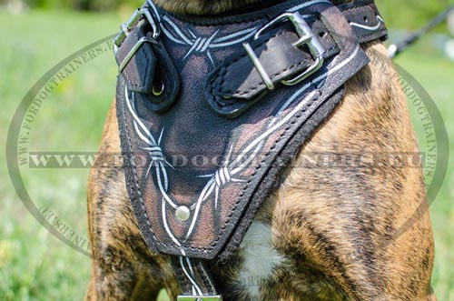 Plastron peint et cousu du harnais de Boxer