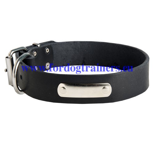 Classy Leather Collar ID for Laika