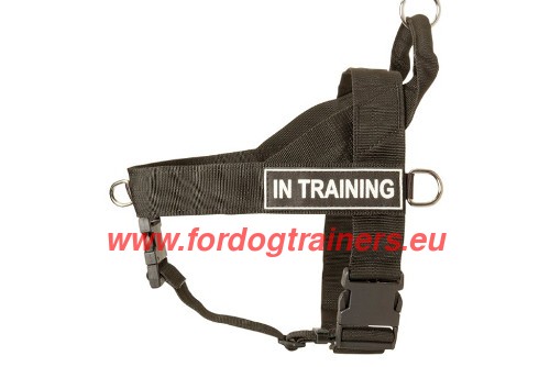 Hunting Dog Gear Harness