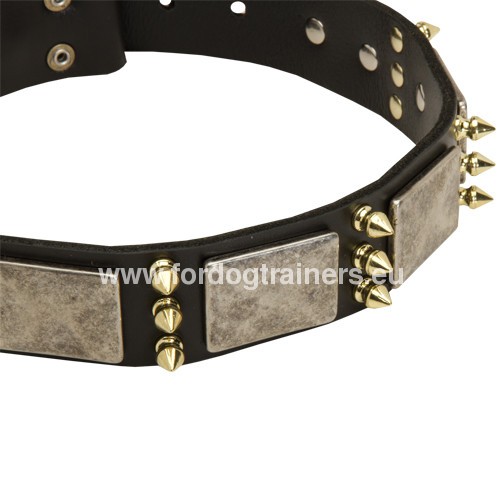 Admirable leather dog collar with 